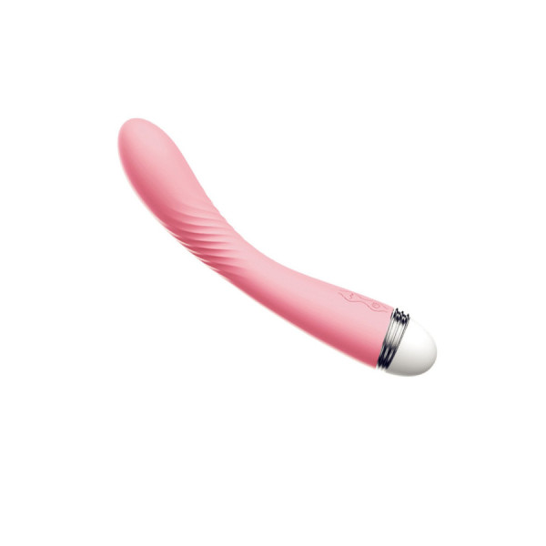 Vibromasseur rose vintage 10 vitesse USB 